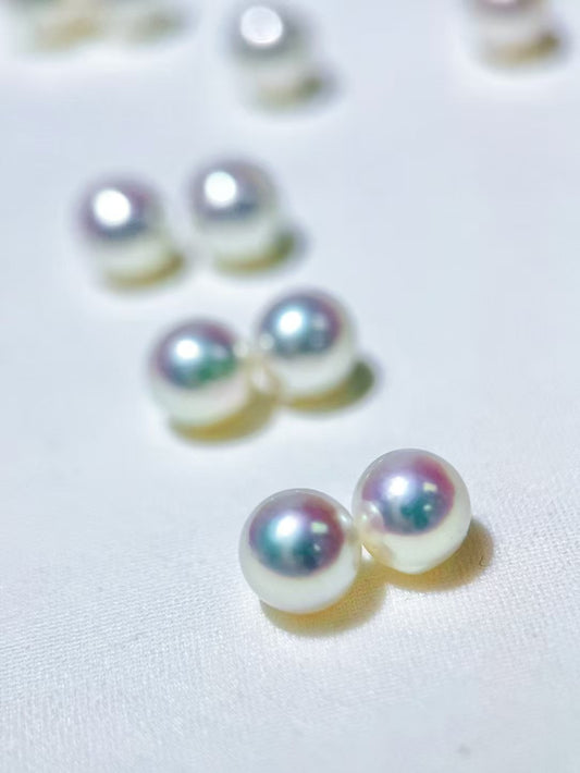 MT20250004 8-8.5mm Akoya Saltwater Pearl Earrings