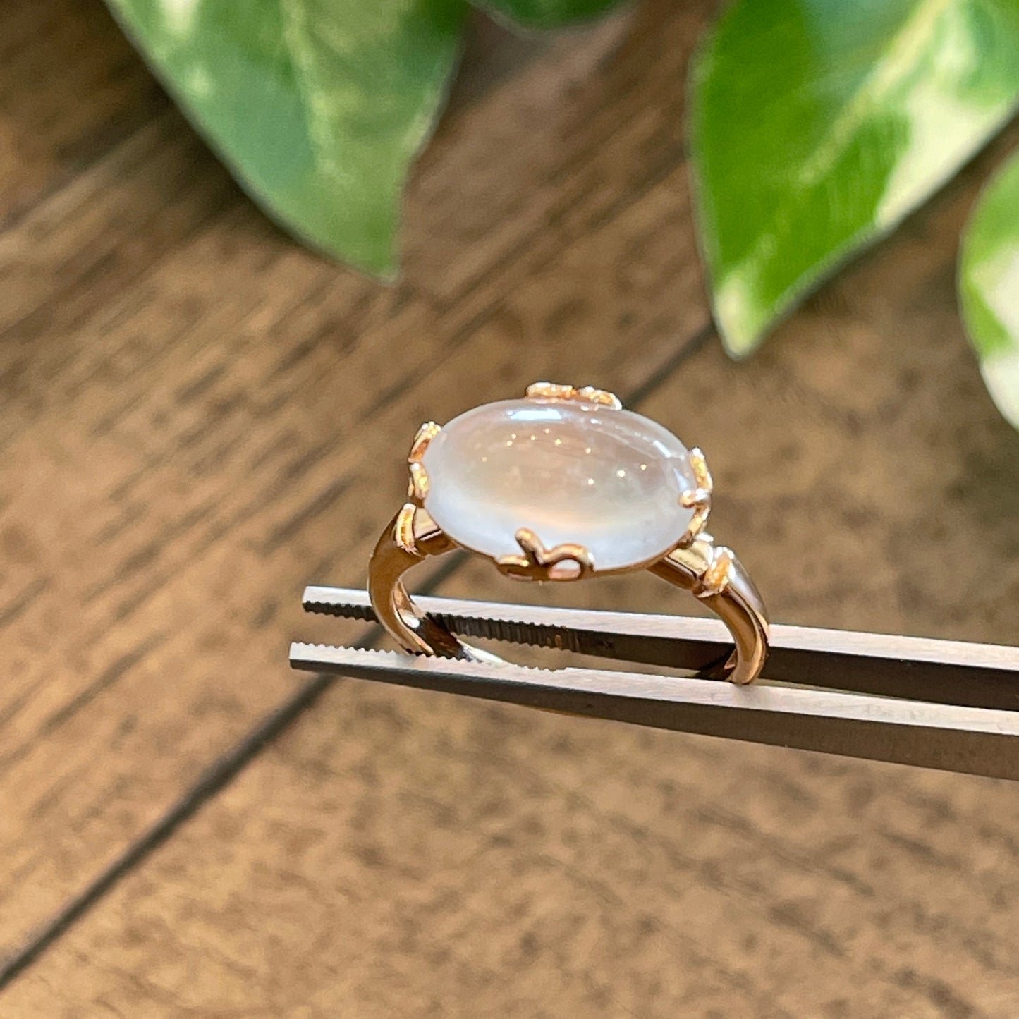 MT20210018 天然翡翠A货 玻璃种蛋面翡翠戒指