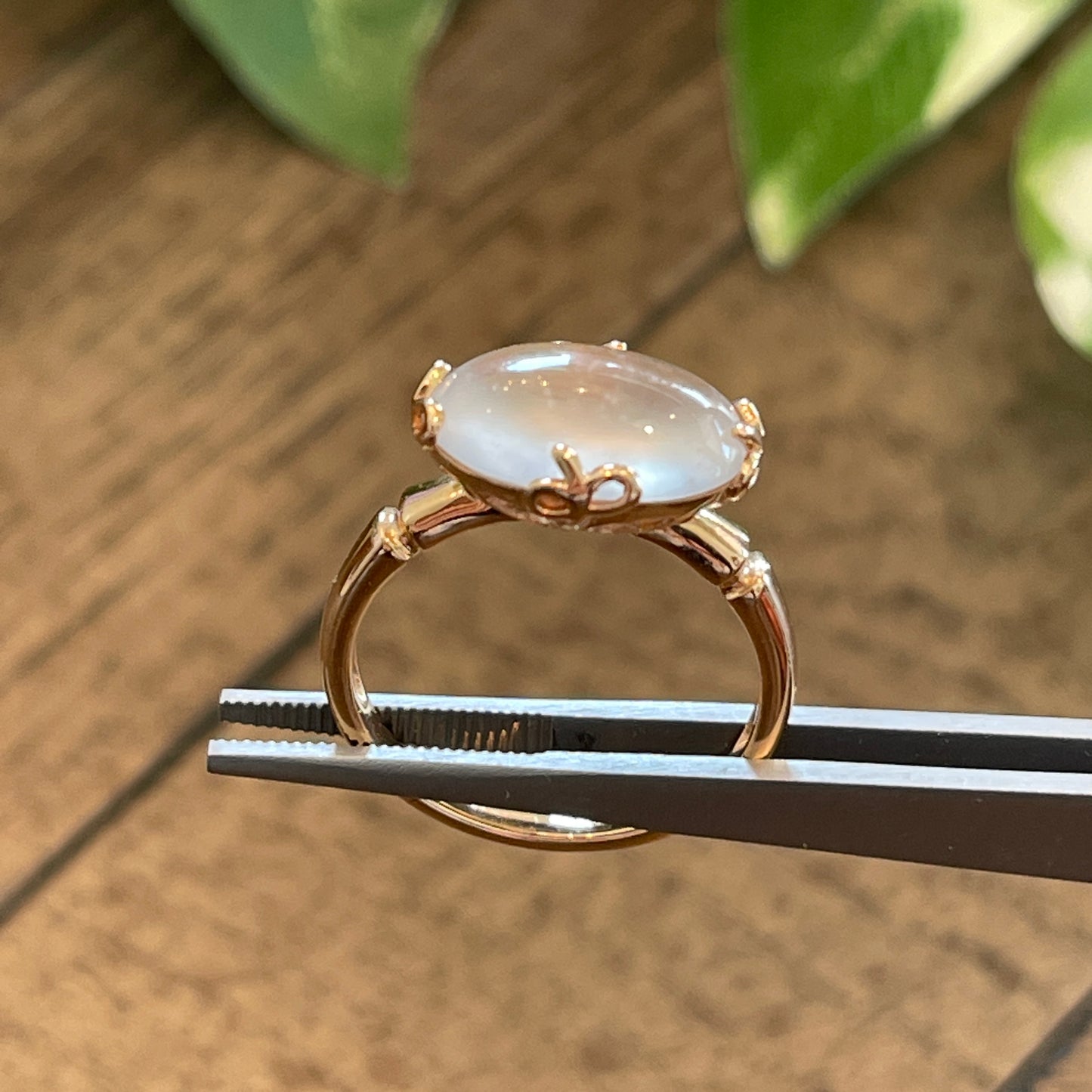 MT20210018 天然翡翠A货 玻璃种蛋面翡翠戒指