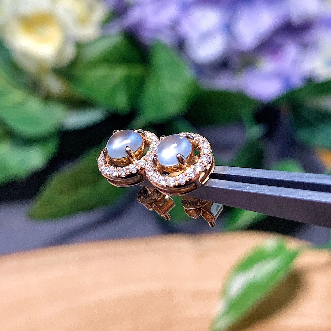 MT20220029 天然翡翠A货 玻璃种蛋面耳钉